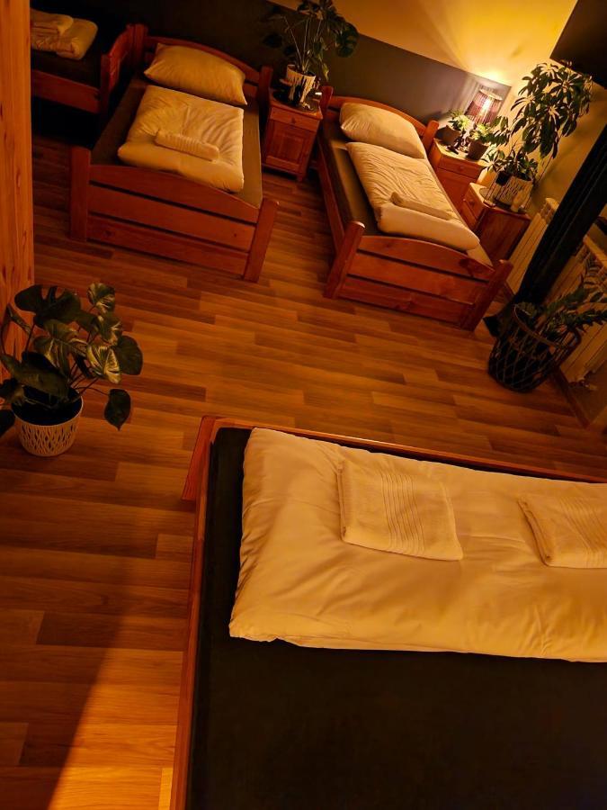 Bed and Breakfast Harmatowka à Bukowina Tatrzańska Extérieur photo