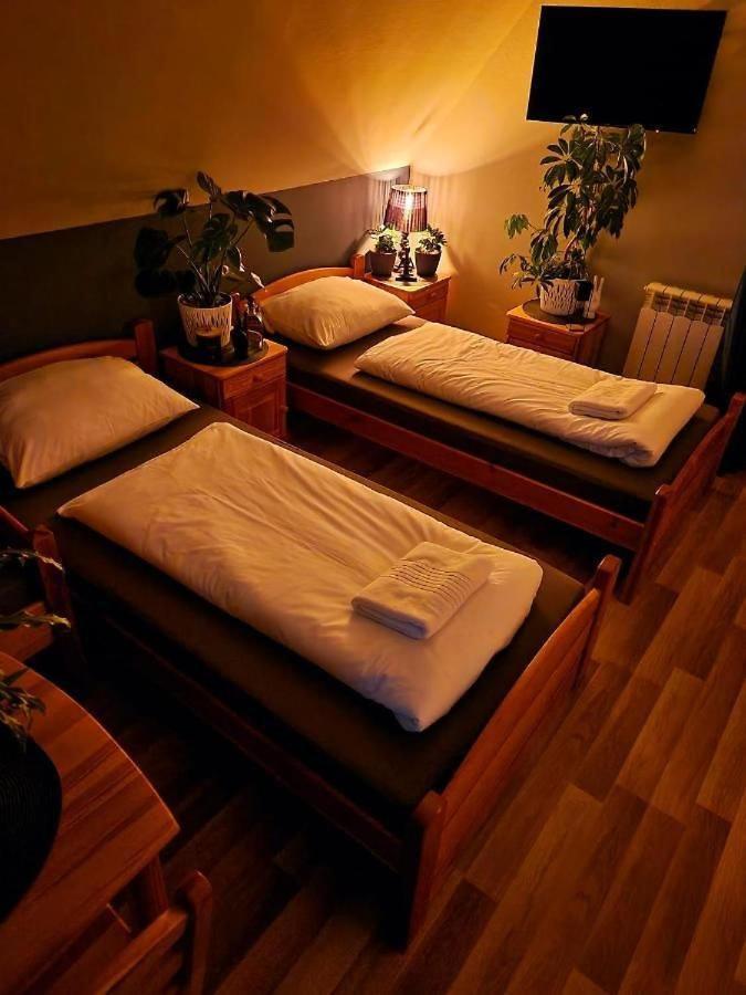 Bed and Breakfast Harmatowka à Bukowina Tatrzańska Extérieur photo